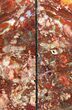 Red/Green Jasper Replaced Petrified Wood Bookends - Oregon #131800-1
